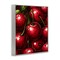 Stupell Industries Lush Juicy Cherries Harvest Framed Giclee, design by Christine Simpson Art